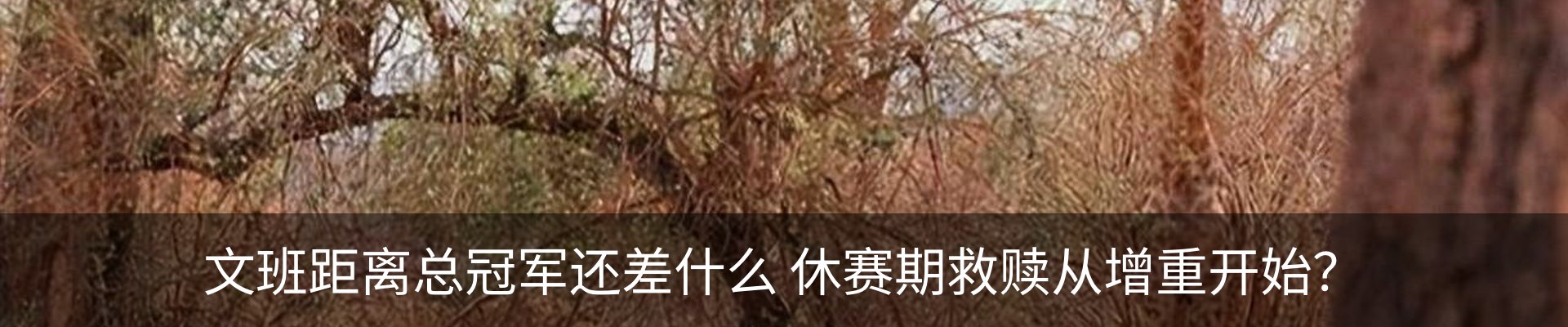 最新动态