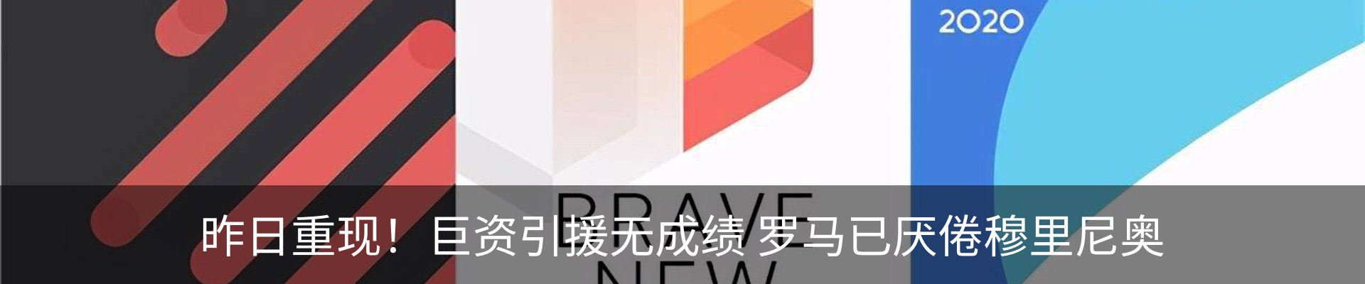 最新动态